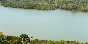 Foto: Governo do Paraná