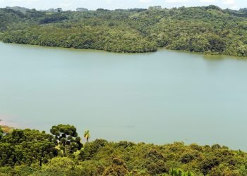 Foto: Governo do Paraná
