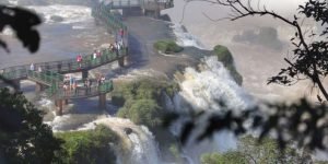 parana-meeting-brasil-2024-1