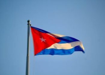 pexels-humammusawwir-29695597-300x200-1