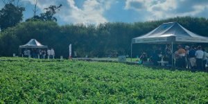 Foto: Governo do Paraná