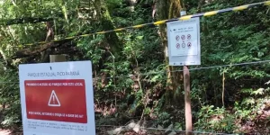 Foto: https://massa.com.br/servicos-informacoes-uteis/onibus-curitiba-integracao