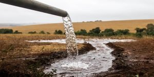 Foto: Governo do Paraná