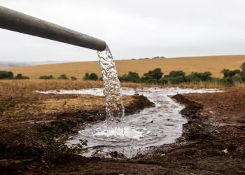 Foto: Governo do Paraná