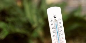 polymarket-franca-temperatura-apostas-300x200-1