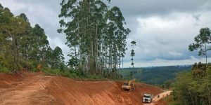Foto: Governo do Paraná