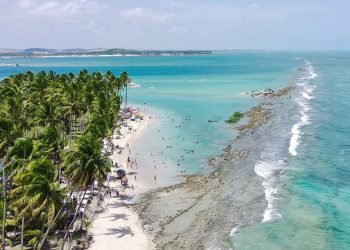 Praia dos Carneiros, em Tamandaré — Foto: Praia dos Carneiros, em Tamandaré Repr