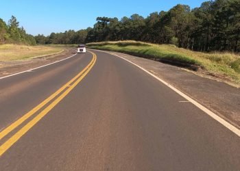 Foto: Governo do Paraná