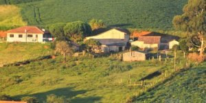 propriedade-rural-divulgacao-faep