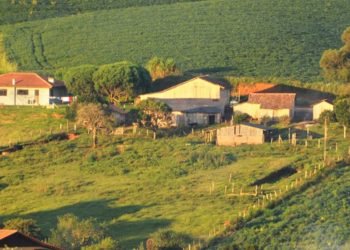 propriedade-rural-divulgacao-faep