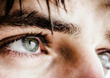 Olhos — Foto: Olhos Unsplash