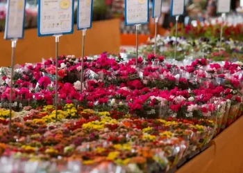 shoppingdasflores-creditofabianodebruim006400000202605092046.webp.webp