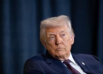 shutterstock_2729971855-300x200-1