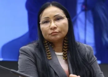 silvia-waiapi-pil-camara-via-congresso