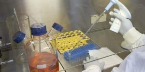 CURITIBA (BRASIL), 14/10/2024; Novos equipamentos no laboratóri