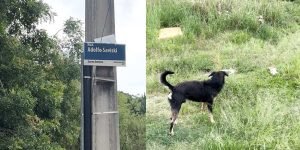 ubs-santoantonio-sjp-colagem