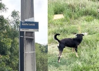 ubs-santoantonio-sjp-colagem