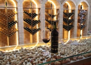 Foto: Prefeitura de São José dos Pinhais