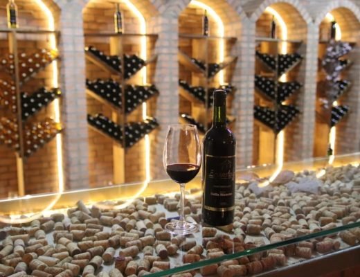 Foto: Prefeitura de São José dos Pinhais