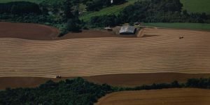 Foto: Governo do Paraná