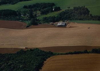 Foto: Governo do Paraná